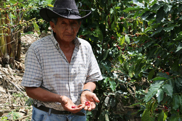 Sas Koffie in Peru en Equador